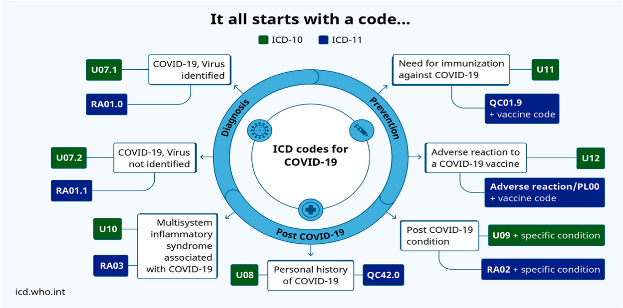 Screen Shot 2023-01-29 at 7.27.55 pm