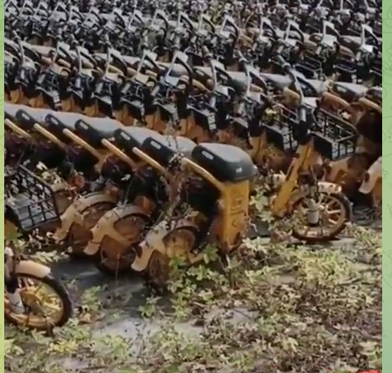 Alternative anything. Have we got it right?