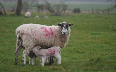 DIGITAL IDENTITY INCOMING IF YOU ALLOW IT